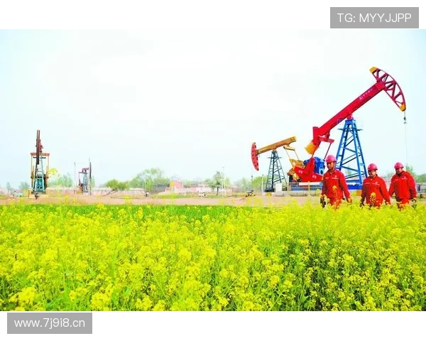 平潭企业家陈钦以创新精神引领海岛经济高质量发展之路